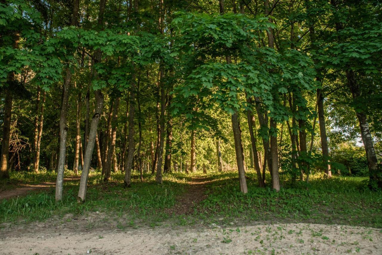Camping & Camper Place Pasvalys Εξωτερικό φωτογραφία